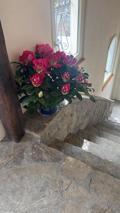 Loazzolo Loaz Relais Agriturismo 아파트 외부 사진